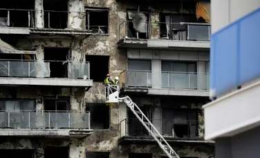 O pisică a fost găsită în viață la 8 zile după incendiul devastator din Valencia