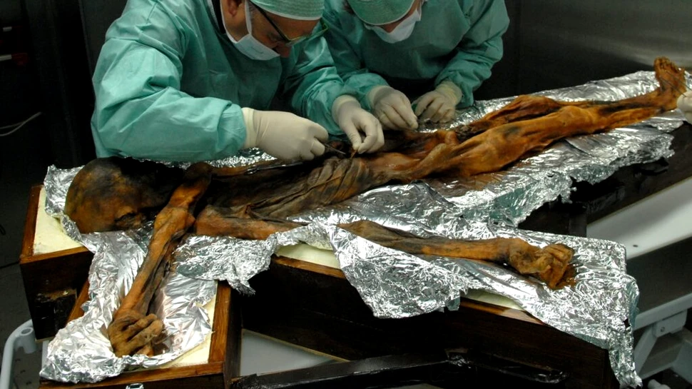 Ötzi, omul din gheață: ce au descoperit cercetătorii în corpul unei mumii vechi de 5.300 de ani