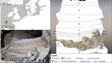Oasele dintr-o peșteră din Norvegia dezvăluie soarta animalelor din Era Glaciară