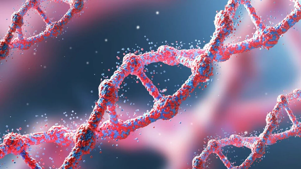 Oamenii de știință s-au înșelat! Cât de mult contează genele cu adevărat?