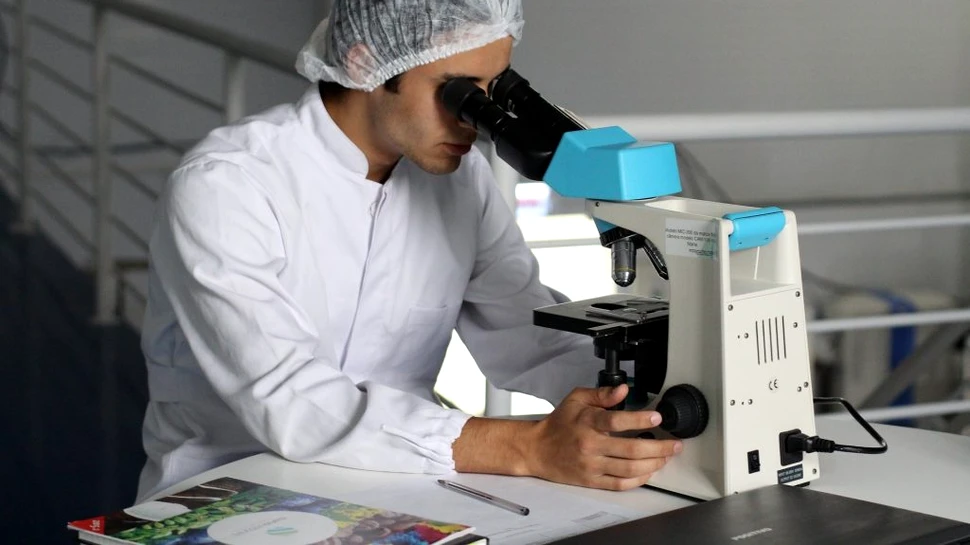Un algoritm a identificat cancerul de prostată cu o acuratețe perfectă