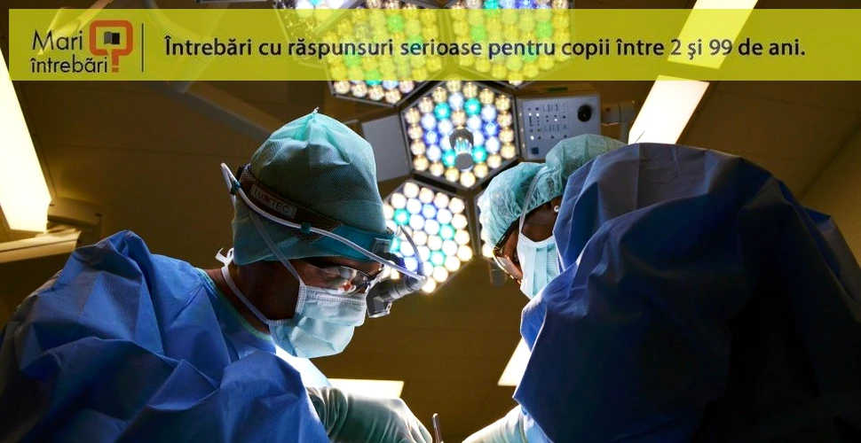 Cât poate rezista un organ în afara corpului înainte de a fi transplantat?