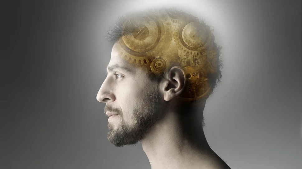 A fost dezvăluit secretul ce ne permite să avem o minte mai ascuţită