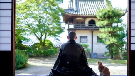 Un oraș din Japonia a inventat mii de locuitori ca să ia mai mulți bani de la stat