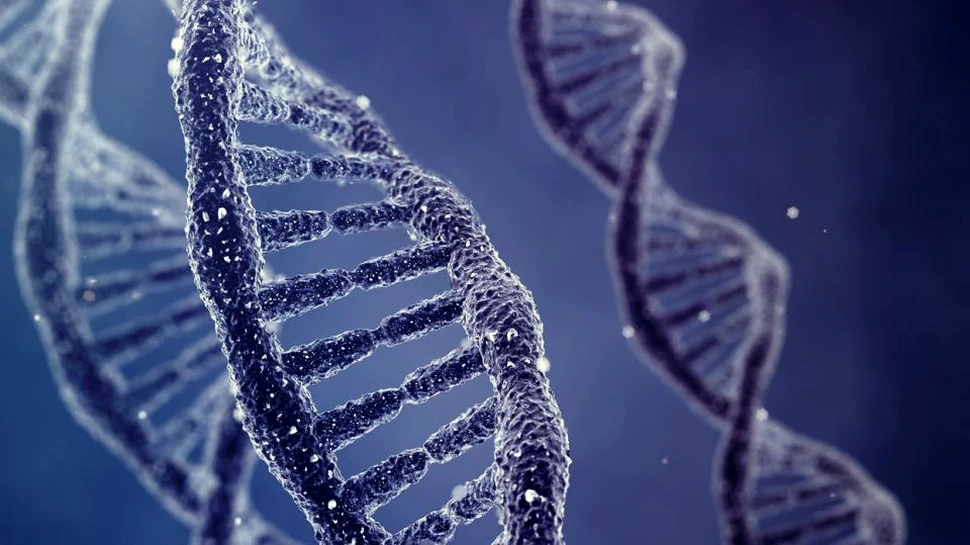 5 mituri din genetică de care ar trebui să uităm