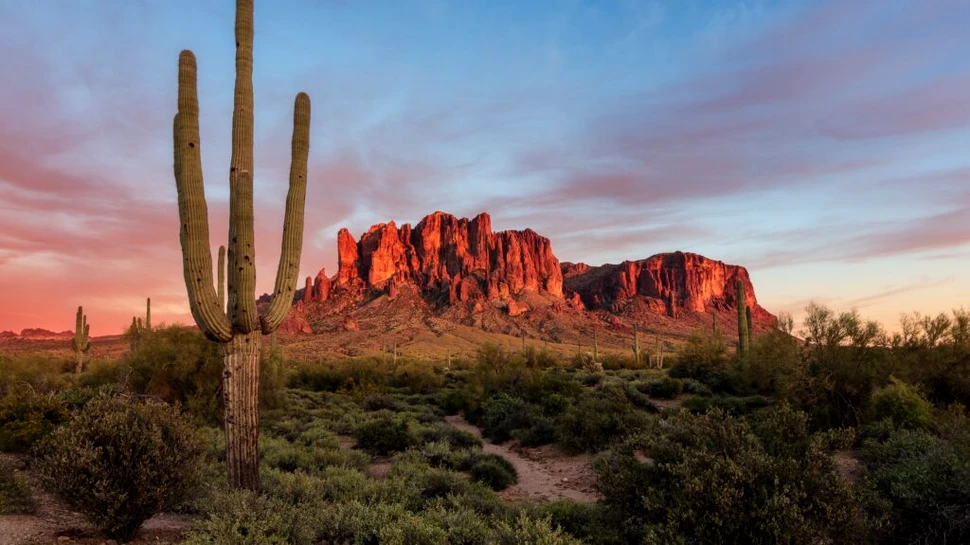 Noi specii din Triasicul târziu, scoase la lumină în statul american Arizona