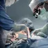 Premieră în medicină! Rinichiul de porc transplantat unui bărbat a funcționat aproape nouă luni