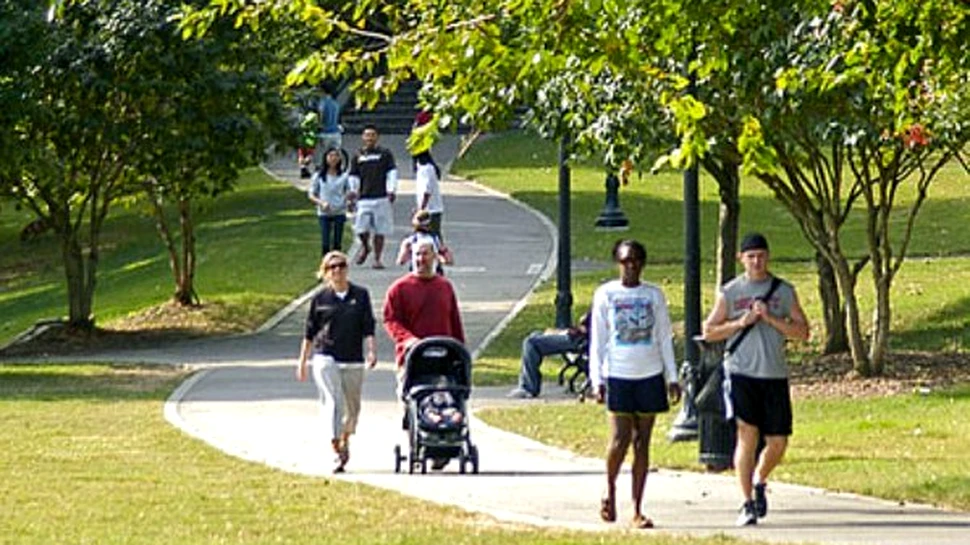 5 minute de “gimnastica verde” fac minuni pentru sanatatea psihica