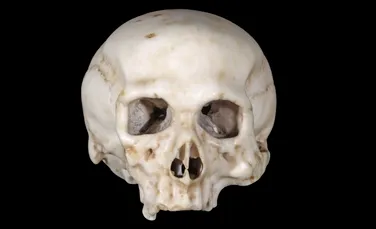 Misterul „craniului lui Leonardo da Vinci”. Teoria care a stârnit controverse printre cercetători