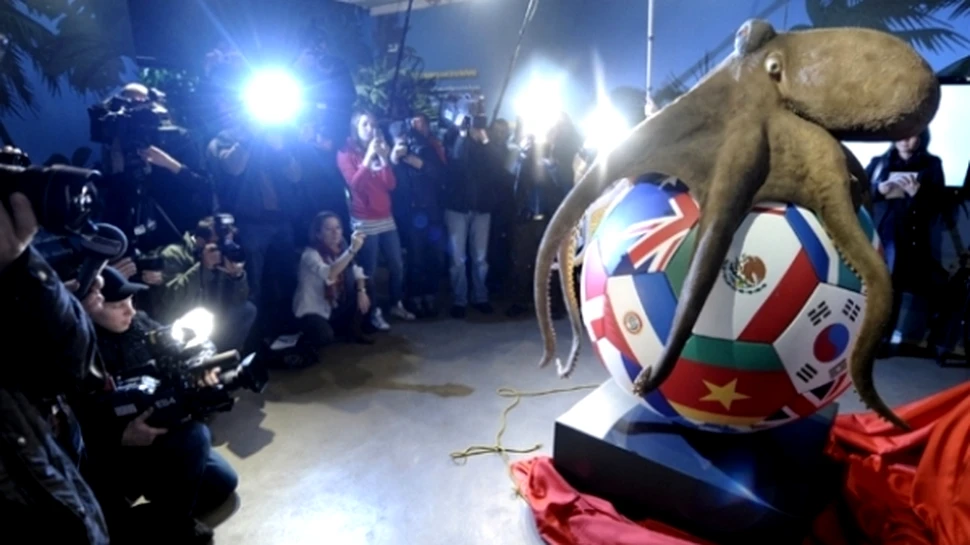 Un monument pentru caracatita Paul