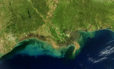 Cercetările dezvăluie cum a scăpat Golful Mexic de extincția în masă din urmă cu 56 de milioane de ani