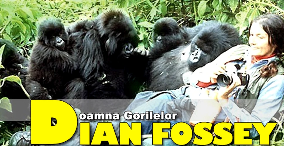 Dian Fossey, doamna gorilelor