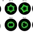 Optica cuantică ar putea transforma un fenomen vizual rar într-un test de vedere
