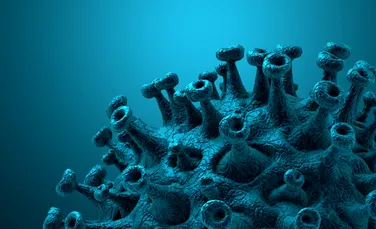 Cercetătorii au construit un coronavirus și au descoperit cum se ascunde virusul de sistemul imunitar