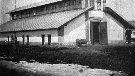 Secretul organizării Domeniilor Coroanei: un model inspirat din Ungaria?