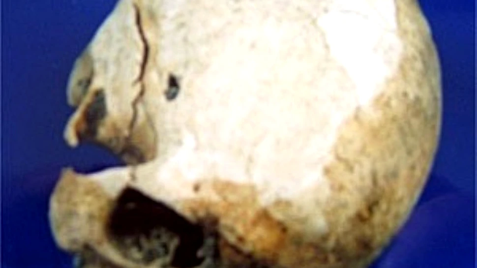 Un craniu misterios rescrie istoria