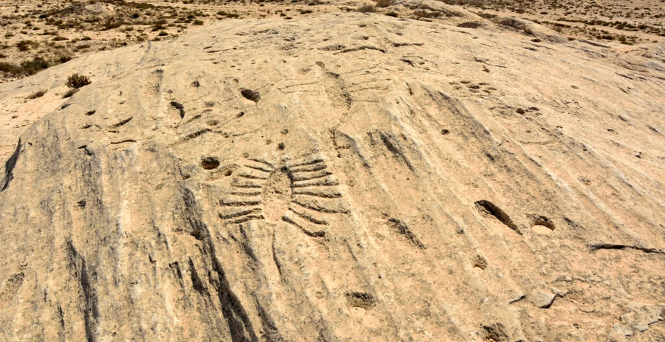 Al Jassasiya, enigmaticele sculpturi rupestre care se „târăsc” prin deșertul din Qatar