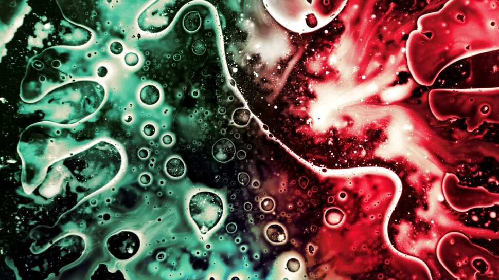 Îndulcitorii artificiali distrug bacteriile rezistente la antibiotice