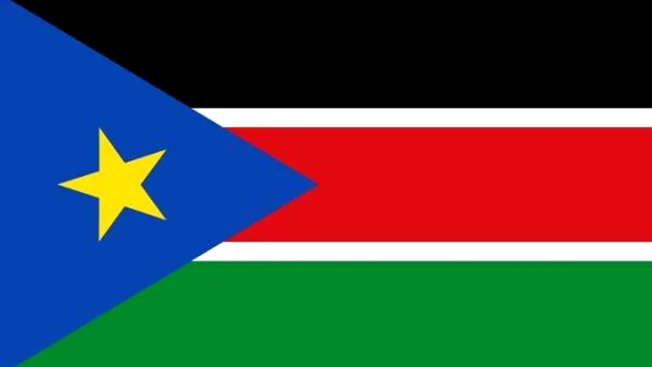 1-steag-sudanul-sud 