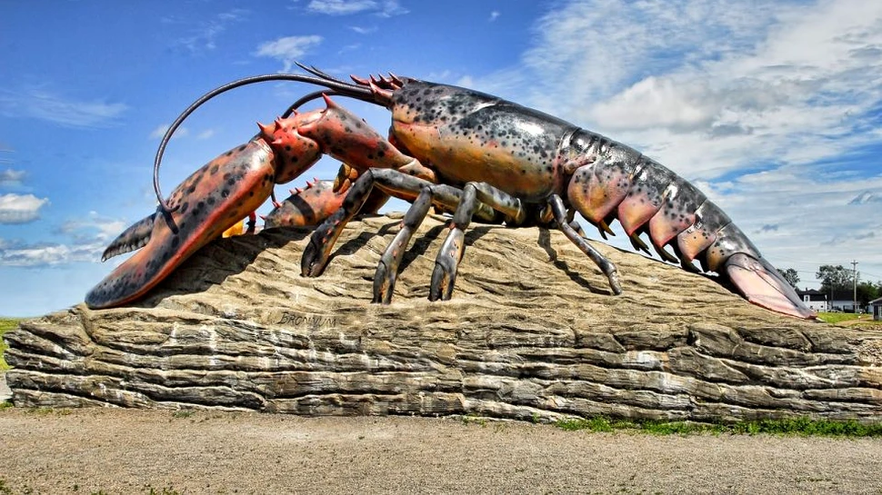 Abdomenul homarilor, la fel de rezistent precum anvelopele auto. Ar putea fi utilizat pentru dezvoltarea unui nou tip de armură