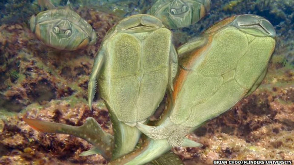 Cel mai vechi act sexual: care au fost primele vieţuitoare care „au făcut sex”?