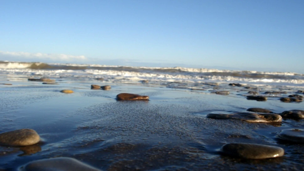 Vestigii arheologice vechi de peste 7.000 de ani, descoperite in Argentina