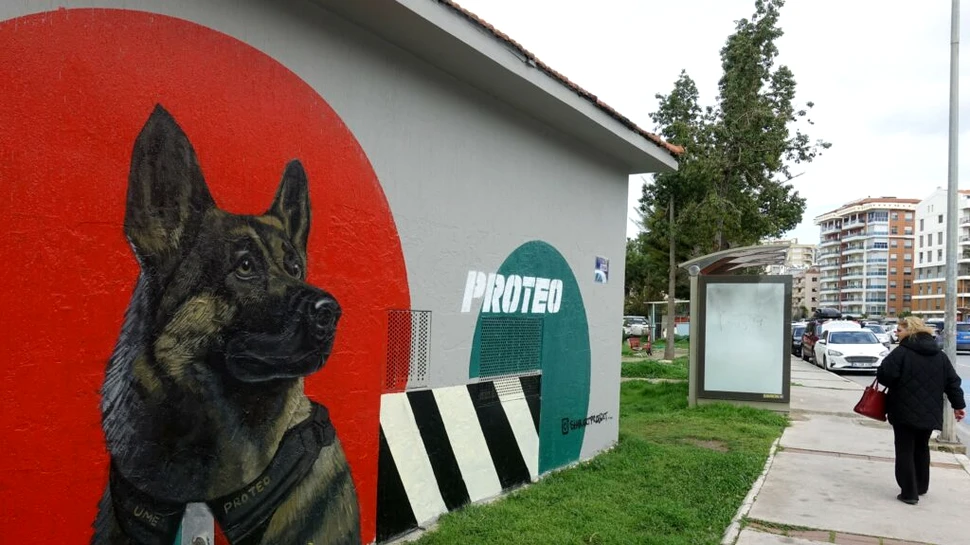 Un pui de ciobănesc german, cadoul autorităților din Turcia pentru Guvernul mexican