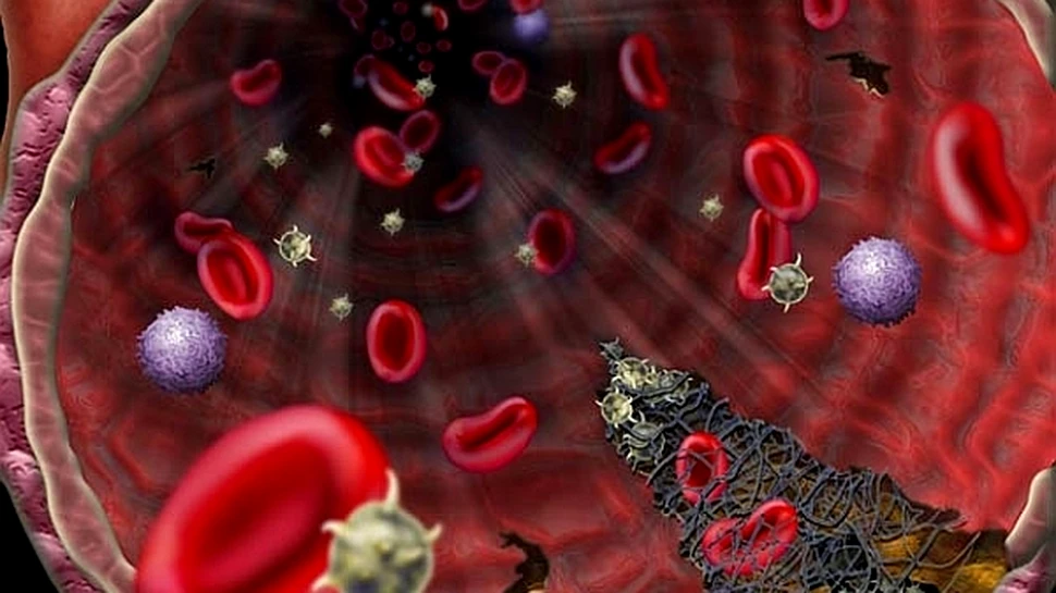 Un mister letal ce s-a ascuns în sânge a fost descifrat! Rezultatul: cea de-a 33-a grupă de sânge descoperită de cercetători!