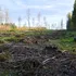Încălcarea limitelor climatice pune în pericol viitorul omenirii
