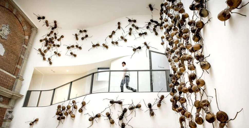 Insecte lăsate „să se dezlănţuie” într-un muzeu din Amsterdam