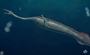 Noi descoperiri despre monstrul Tully, creatura enigmatică din urmă cu 300 de milioane de ani