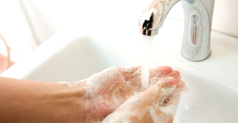 Majoritatea oamenilor nu se spală corect pe mâini înainte să gătească