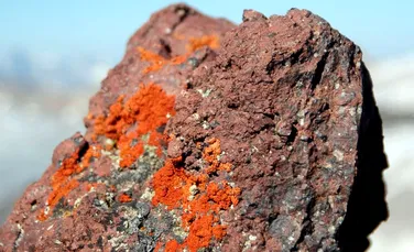 Oamenii de ştiinţă din SUA au transformat dioxidul de carbon în piatră solidă