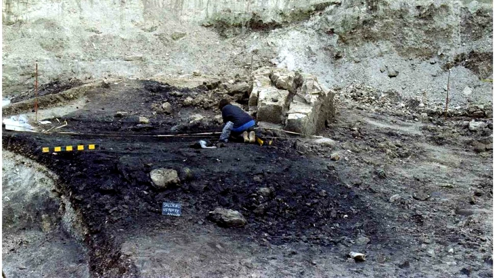 Un sit de incinerație unic din Epoca Bronzului, lăsat în voia naturii. Cadavrele, arse și abandonate ca parte a unui ritual?