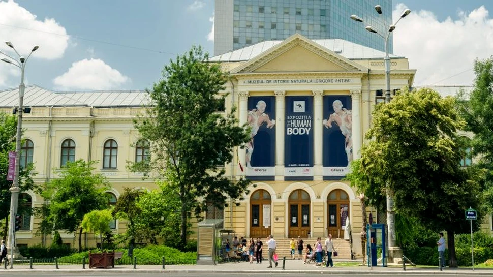 Vizite gratuite și ateliere recreative, organizate la Muzeul Antipa de 1 iunie