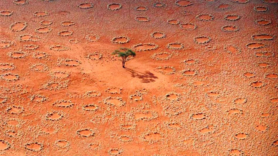 Ce sunt enigmaticele „cercuri ale zânelor” din Africa? Un cercetător propune o nouă explicaţie