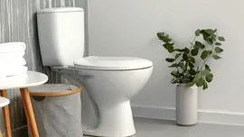 De ce trebuie întotdeauna să lași jos capacul toaletei înainte să tragi apa?