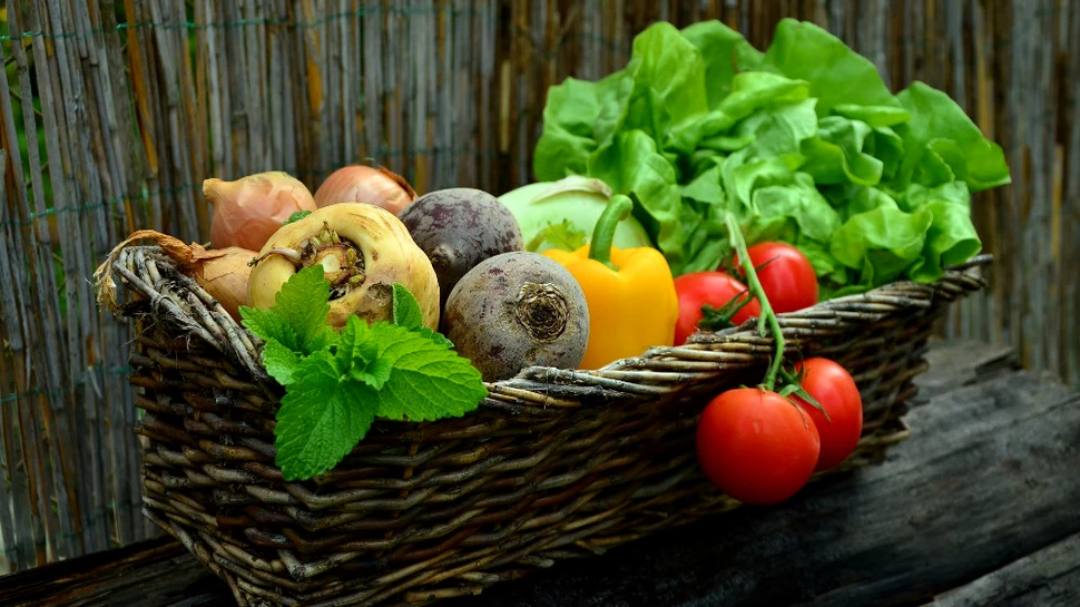 Salata verde este de 3 ori mai nocivă decât baconul, iar dieta vegetariană poate fi dăunătoare mediului