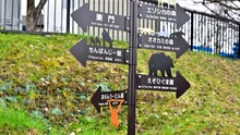 Un japonez și-ar fi ucis soția iar apoi ar fi incinerat-o la grădina zoologică unde lucrează