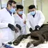 Cercetătorii vor să cloneze un bizon dezgropat din permafrostul siberian