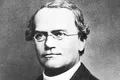 Corpul lui Gregor Mendel, părintele geneticii, a fost dezgropat pentru analize ADN