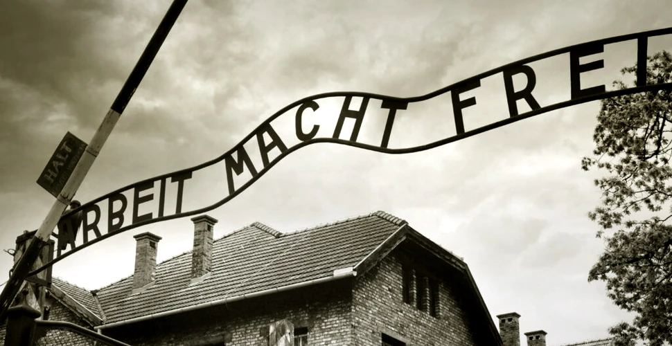 Cea mai vârstnică supraviețuitoare a Holocaustului a murit la vârsta de 113 ani