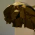 Un craniu vechi de 300.000 de ani nu se potrivește cu nicio specie umană