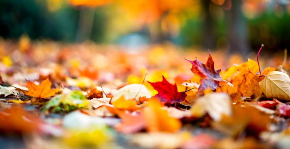 Trecem de la temperaturi de vară, direct la frig și ploi, anunță meteorologii