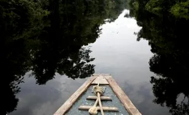 Noul ministru al mediului din Brazilia declara ca nu va distruge Amazonia