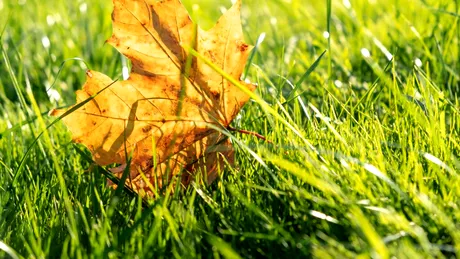 Cum va fi vremea în septembrie? Meteorologii anunță că nu scăpăm de căldură