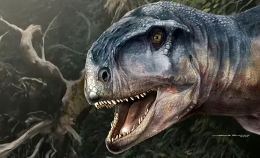 Un dinozaur fioros a terorizat Patagonia în trecut