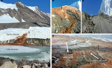 Microorganisme antice au fost descoperite în unul dintre cele mai ostile locuri din Antarctica