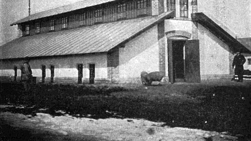 Secretul organizării Domeniilor Coroanei: un model inspirat din Ungaria?