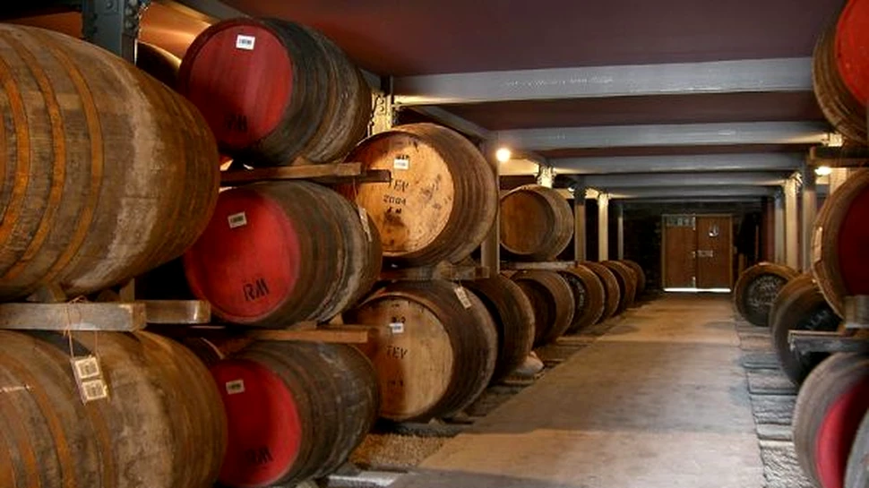 Industria de whisky va alimenta casele scoţienilor cu electricitate